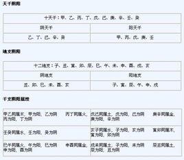 1993农历10月初6阴历11月19日下午18点是阴年阴月阴日吗