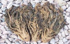 绍兴梅干菜