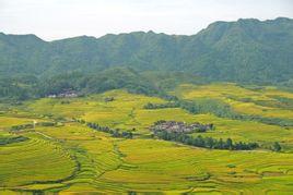 云雾镇地处贵定县最南端,距县城54千米,东邻铁厂乡,西临惠水县界,北与