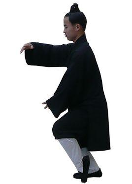 野马分鬃