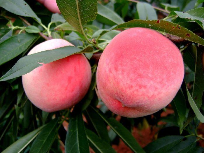 重庆淘宝店,题无忧软件,冷却塔隔音屏障,雅典