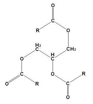 甘油三酯(triglyceride,缩写tg)是3分子长链脂肪酸和甘油形成的脂肪