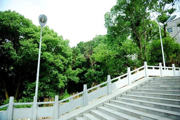 武汉民政职业学院