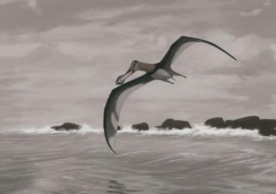 十大神秘生物+-+搜狗百科