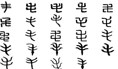 演变图示