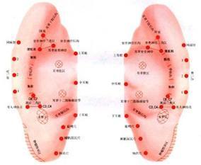 耳针疗法+-+搜狗百科
