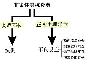 非甾体抗炎药