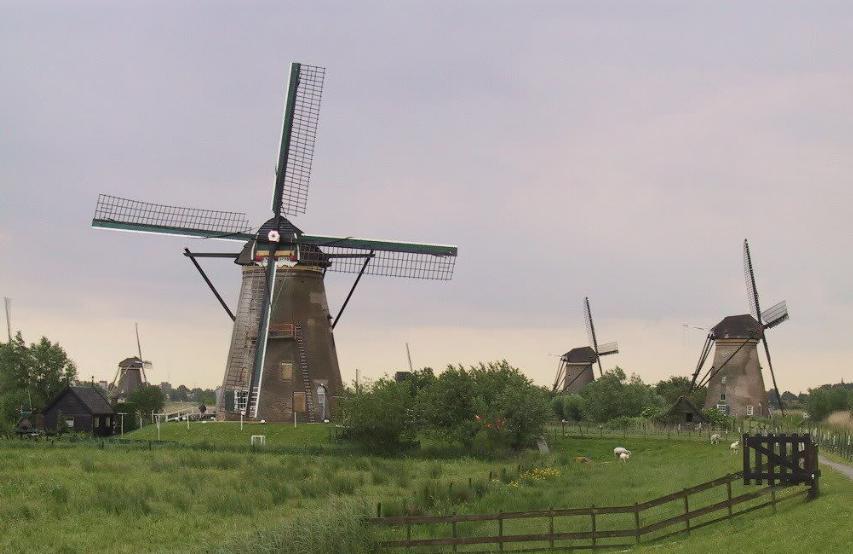 莽山荷兰风车节