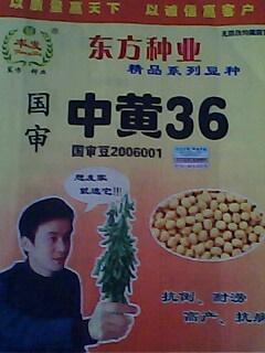 中黄36