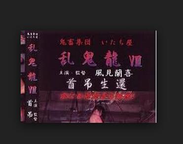 《<em>乱鬼龙</em>》是日本系列电影