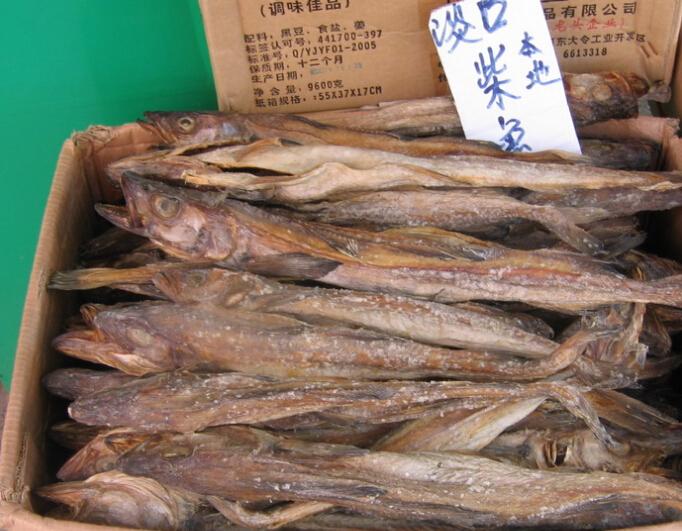 柴鱼