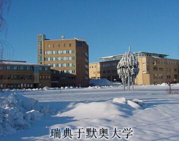 于默奥大学