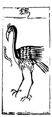 什么什么什么喙的成语_老鹰的喙是什么(2)