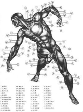 popping-popping音乐,popping视频,hiphop舞蹈