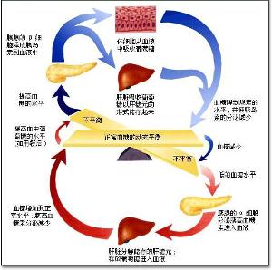 随机血糖