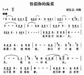 恰似你的温柔