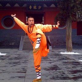 少林是汉族武术中体系最庞大的门派,武功套路高达七百种以上,又因以禅