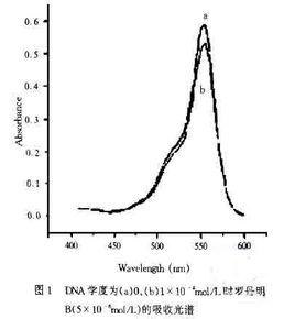 罗丹明