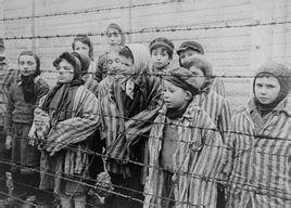 "holocaust"是犹太人大屠杀英语和德语的名称,此字是来坠刈⒐俜饺