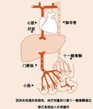 十一酸睾酮胶丸