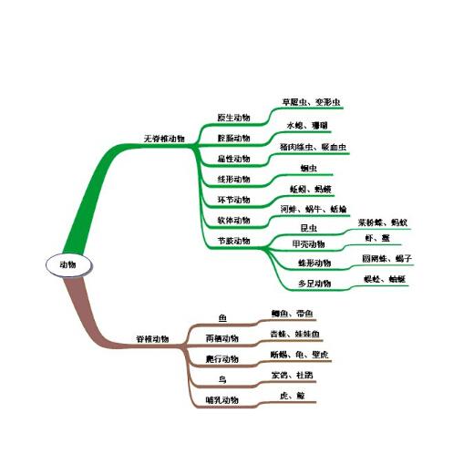 是系统掌握生物学知识的人,动物分类学主要根据自然界动物的形态,身