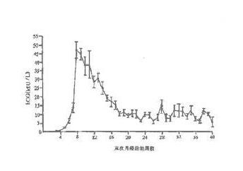 β-hcg