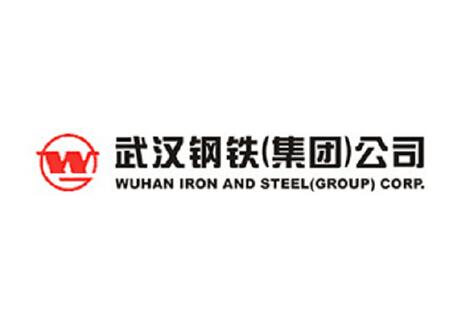 武汉钢铁集团公司(简称:武钢)前身为清朝汉阳铁厂,是新中国成立后兴建