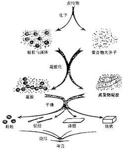 凝胶法