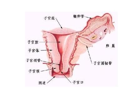 眼睛瘙痒与疼痛：常见原因及应对措施