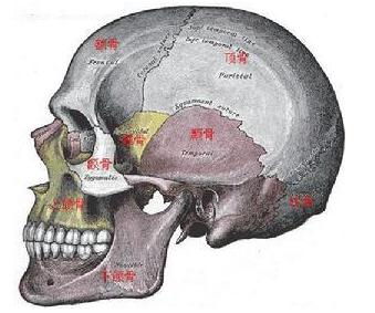 颅骨骨折