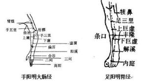 全部版本 最新版本  取法 正坐屈膝位,在犊鼻下6寸,当足三里与下巨虚