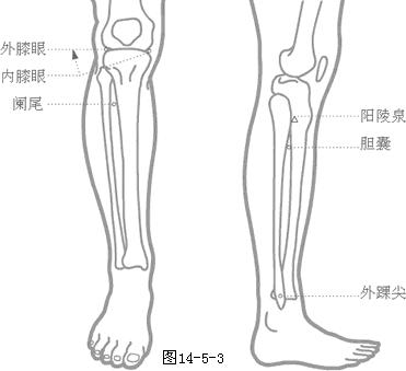 内膝眼