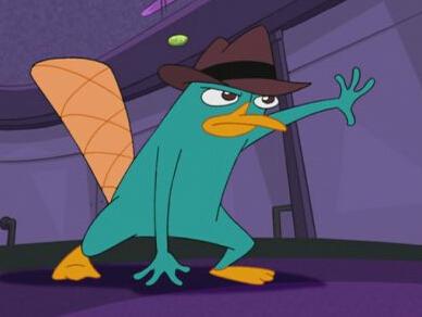 摘要                       鸭嘴兽泰瑞(perry the platypus),《飞哥