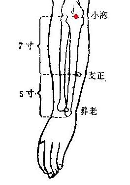 支正穴