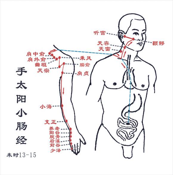 支正穴 搜狗百科