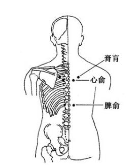输注;本穴为脾之背俞穴
