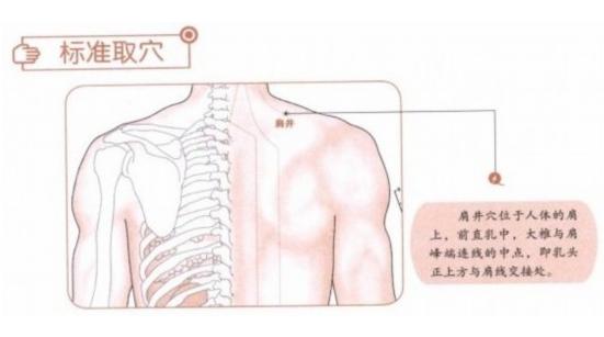 肩井