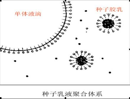 种子乳液聚合体系示意图