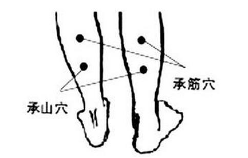 承筋 chengjin(bl 56)1穴位简介7刺灸法6主治病症5功用4穴位解剖3取法