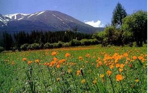 阿尔泰山脉 - 搜狗百科