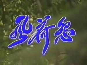 提问 相关问题 相关百科《风荷怨》是1995年出品的一部电视剧,由沙如