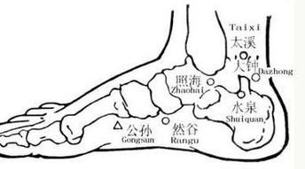 照海