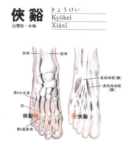 在足背部,第四,五趾缝间,趾蹼缘后方赤白肉际处.