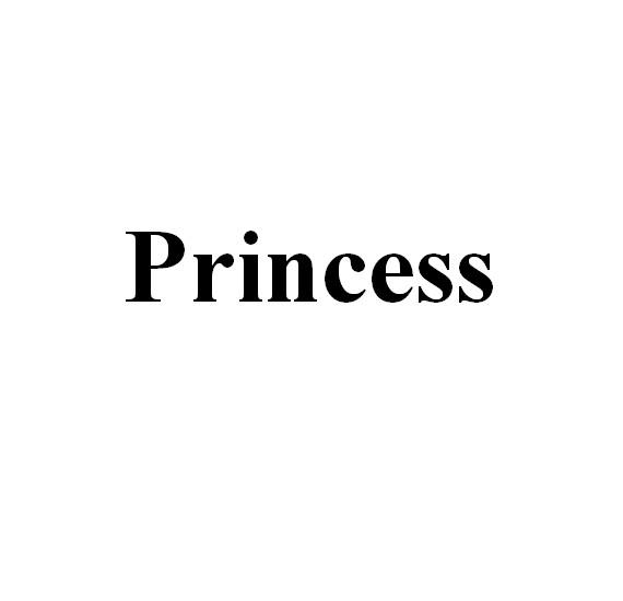 princess,中文翻译公主