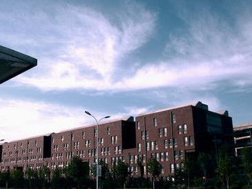 山东工艺美术学院排名_山东工艺美术学院