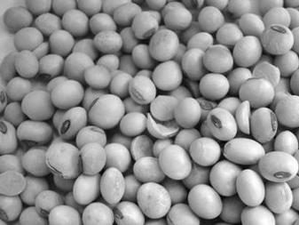 怎么看油是不是转基因 0