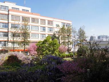 昆明市第十四中学 - 搜狗百科