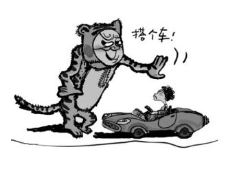 什么是车上人员责任险和驾乘险 0