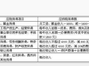 纳税证明_什么是收入应纳税总额