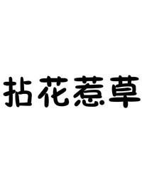 拈花什么成语_拈花湾图片